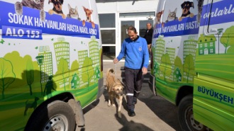 Ankara büyükşehir belediyesi kurtuluş evcil hayvanlar sağlık merkezi